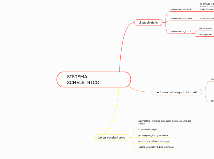 SISTEMA SCHELETRICO