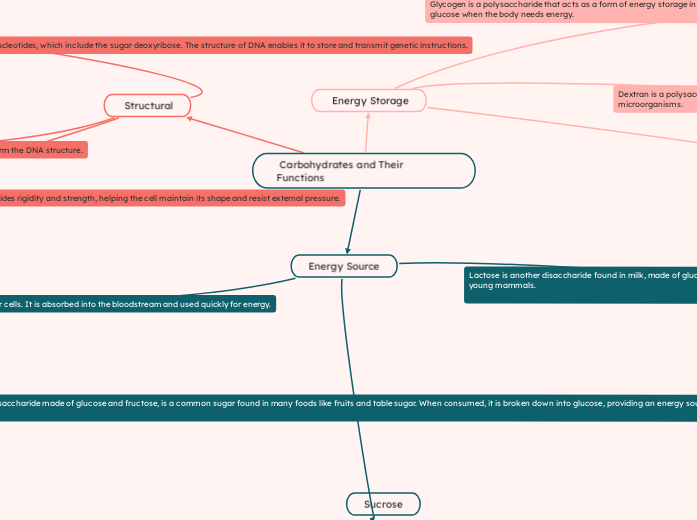  Carbohydrates and Their Functions