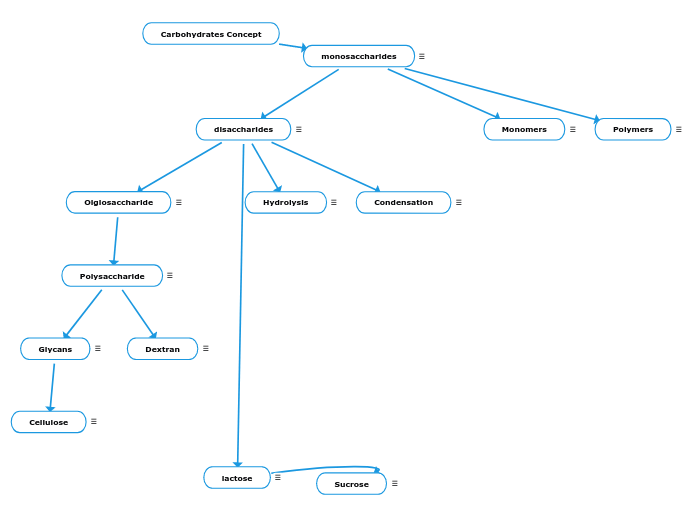 Carbohydrates Concept