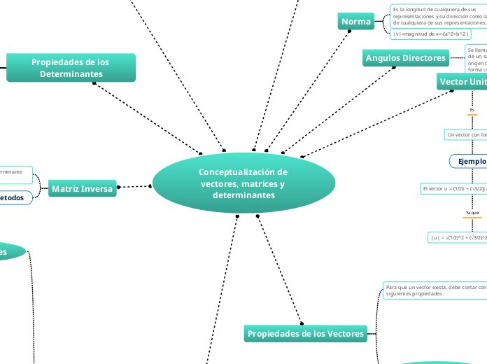 Conceptualización de vectores, matrices y determinantes
