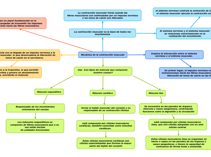 Mecánica de la contracción muscular