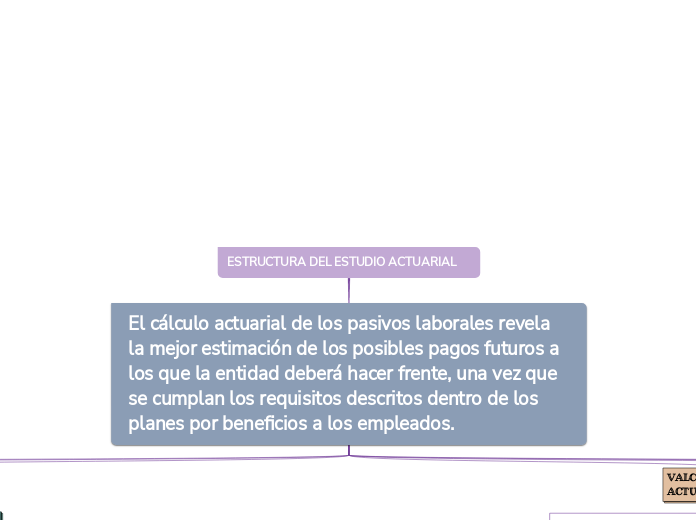 ESTRUCTURA DEL ESTUDIO ACTUARIAL 