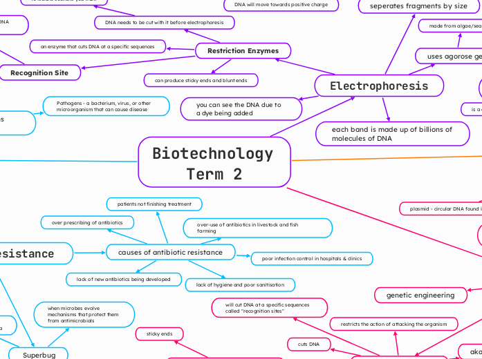 Biotechnology Revision - Term 1 and 2