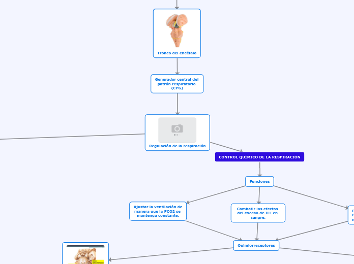 Regulación de la respiración