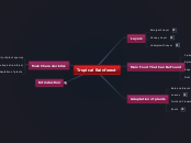 Vijay's Geographical Rainforest MindMap