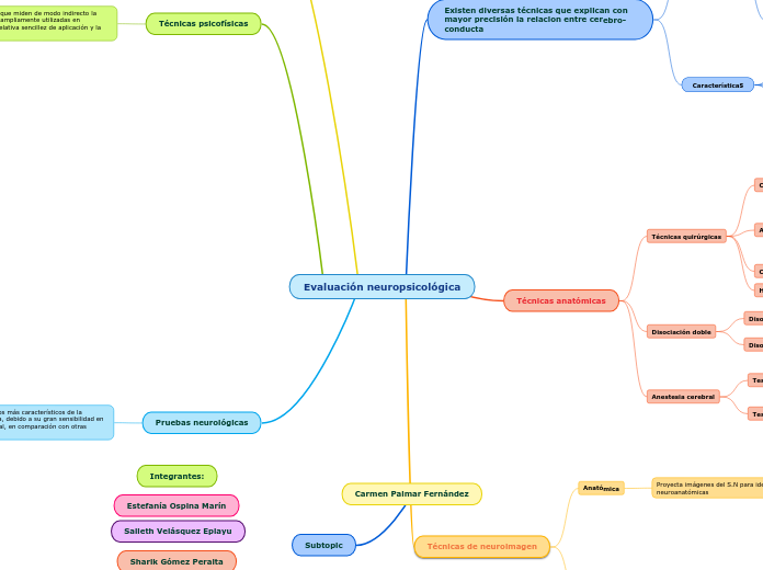 Evaluación neuropsicológica