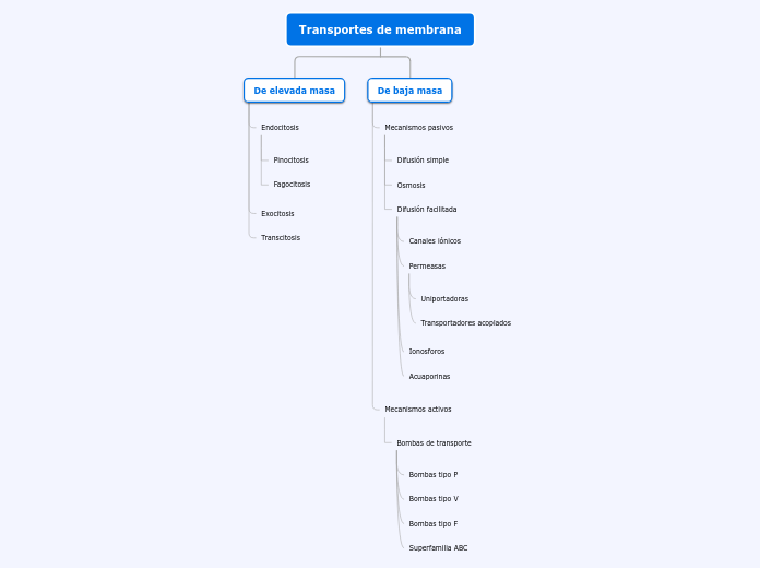 Responsabilidad social