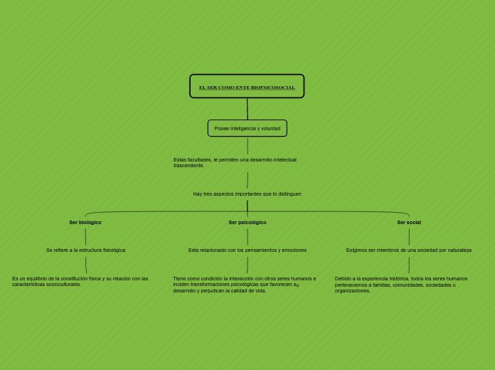 mapa conceptual