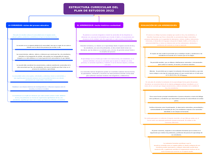 ESTRUCTURA CURRICULAR DEL PLAN DE ESTUDIOS 2022