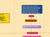 PROYECTOS DE NACION