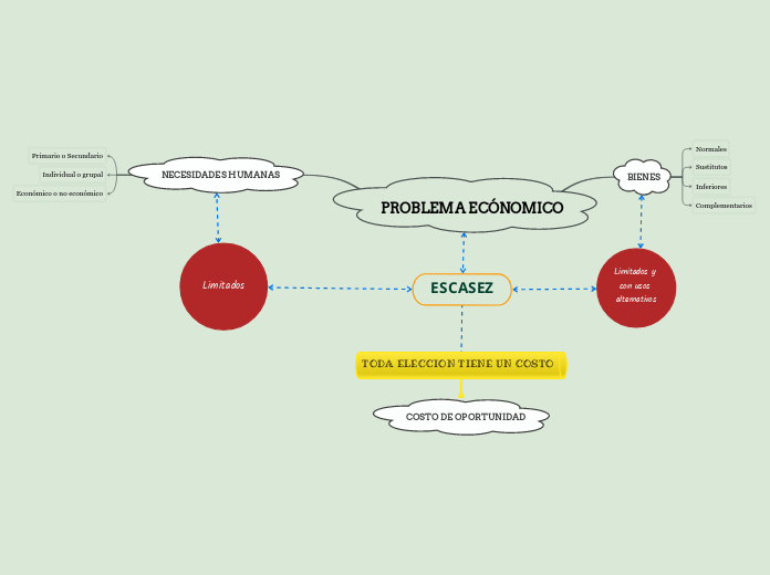 PROBLEMA ECÓNOMICO