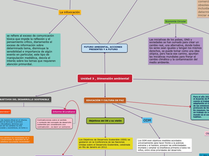 Unidad 3 , Dimensión ambiental