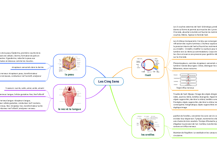 Les Cinq Sens