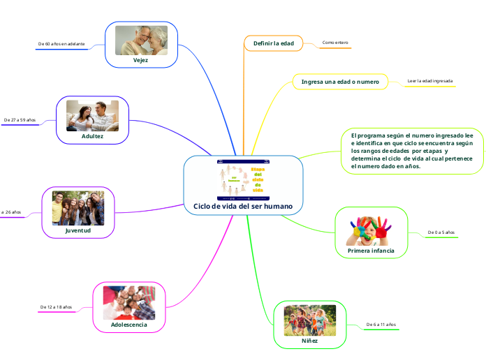 Ciclo de vida del ser humano