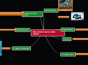 Manufacturing:Location Factors