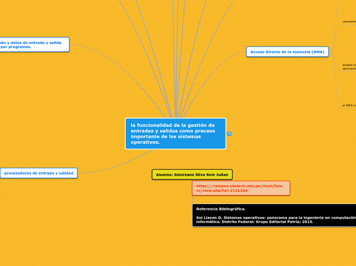 un mapa conceptual sobre la funcionalidad de la gestión de entradas y salidas