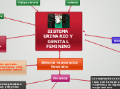 SISTEMA URINARIO Y GENITAL FEMININO