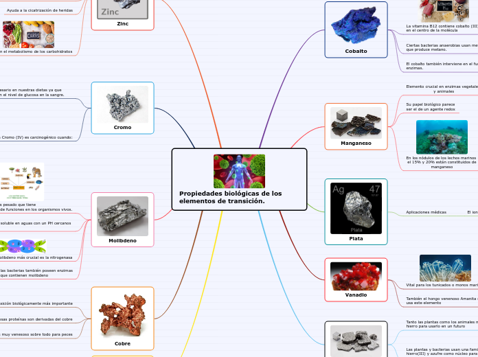 Tarea . Propiedades biológicas de los elementos de transición.