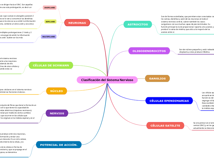 Clasificación del Sistema Nervioso
