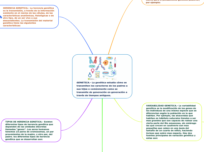 GENETICA.- La genética estudia cómo se transmiten los caracteres de los padres a sus hijos o comúnmente como se transmite de generación en generación a través de tiempos antiguos.