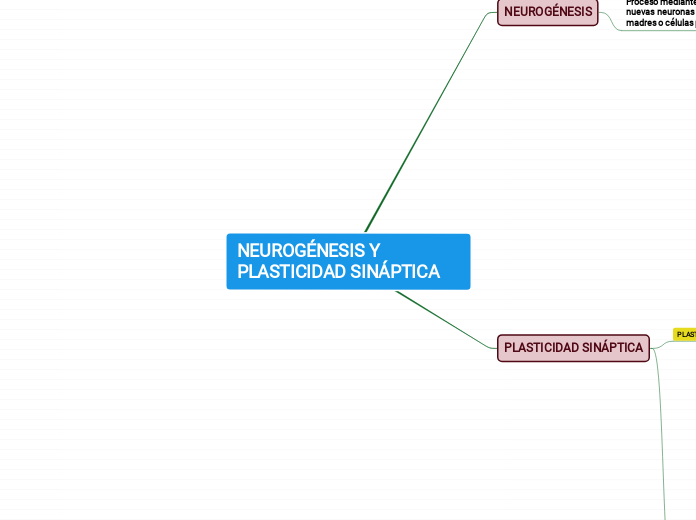 NEUROGÉNESIS Y PLASTICIDAD SINÁPTICA