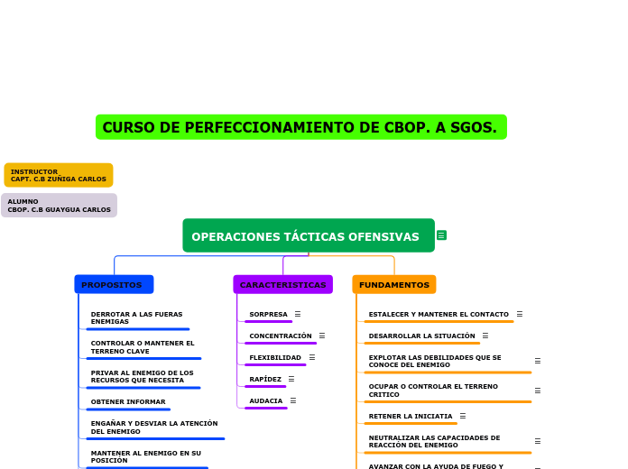 OPERACIONES TÁCTICAS OFENSIVAS