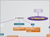 EL ASPECTO NEUROLÓGICO DE LA PERCEPCIÓN