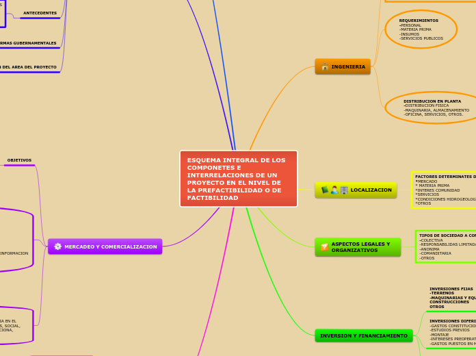 ESQUEMA INTEGRAL DE LOS COMPONETES E INTERRELACIONES DE UN  PROYECTO EN EL NIVEL DE LA PREFACTIBILIDAD O DE FACTIBILIDAD