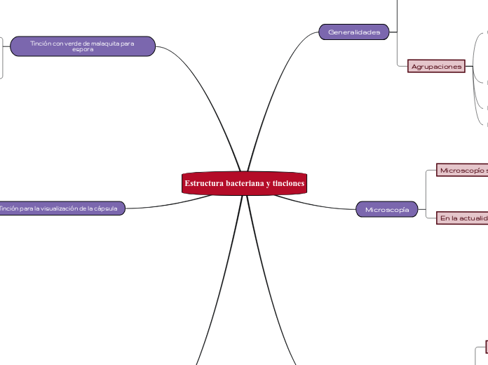 Estructura bacteriana y tinciones