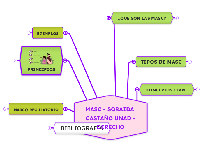 MASC - SORAIDA CASTAÑO UNAD -DERECHO