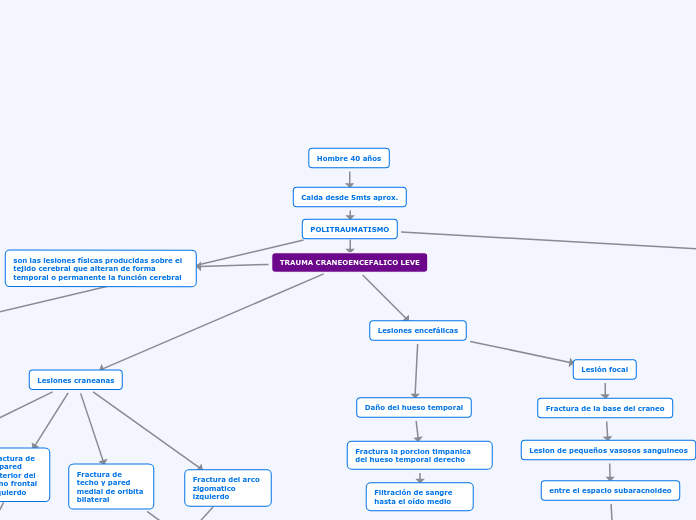 TRAUMA CRANEOENCEFALICO LEVE