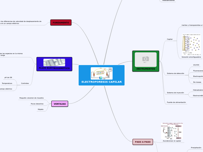 ELECTROFORESIS CAPILAR