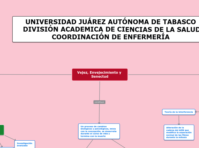 Vejez, Envejecimiento y Senectud