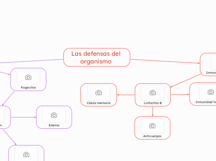 Las defensas del organismo 