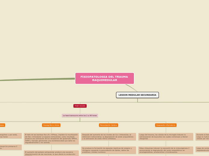 Sample Mind Map