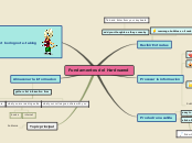 Sample Mind Map