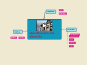 CLASIFICACION DEL DERECHO