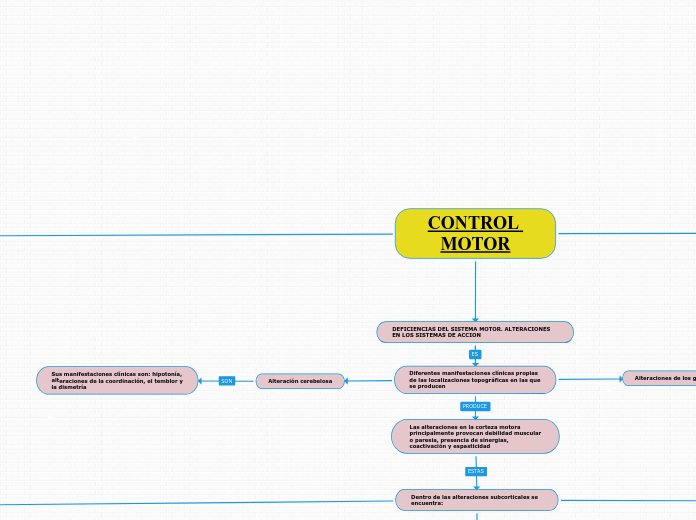 CONTROL MOTOR