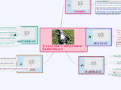 Types of Vertebrate Animals