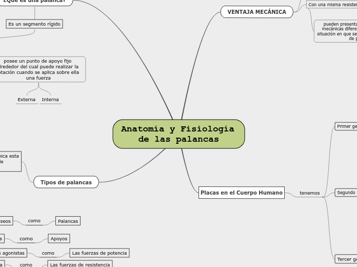 Anatomía y Fisiología de las palancas