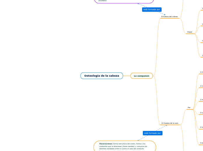 Osteología de la cabeza