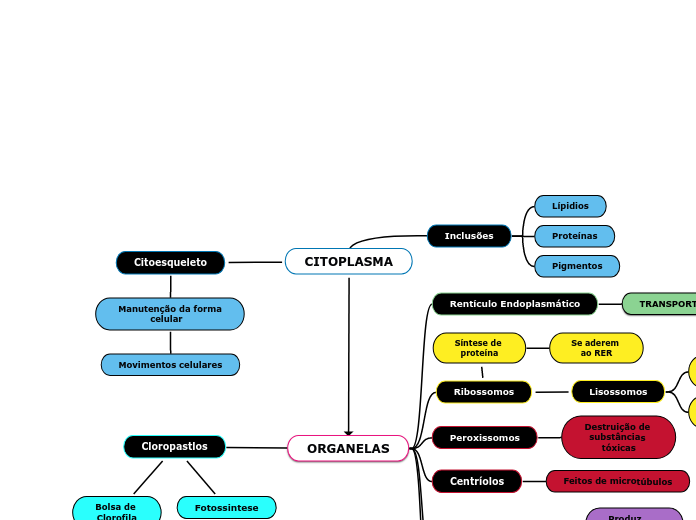 CITOPLASMA