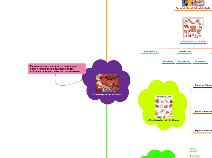 Tecnología de la Carne