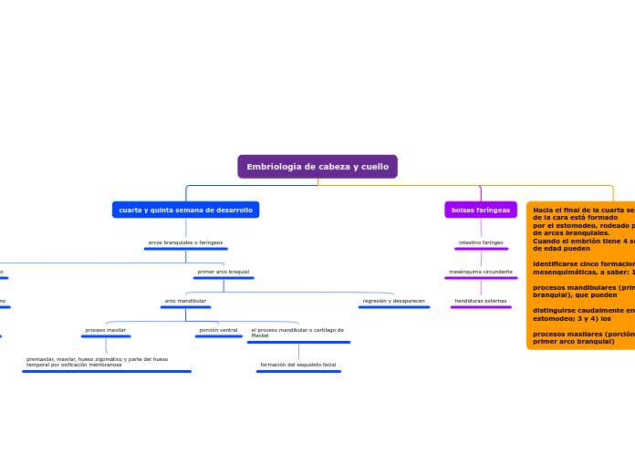 Embriologia de cabeza y cuello