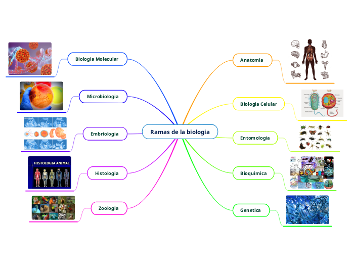 Ramas de la biologia