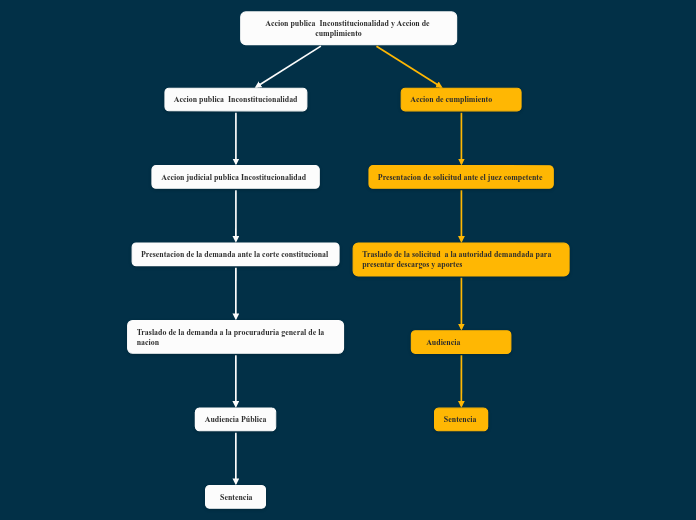 Accion publica  Inconstitucionalidad y Accion de cumplimiento          