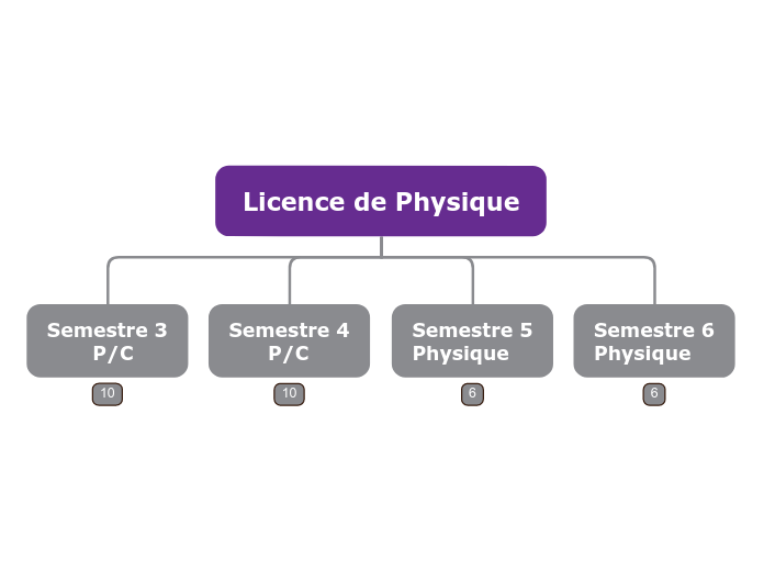 Licence Physique Gros Grain