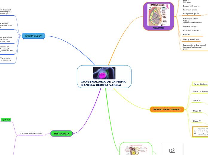 IMAGENOLOGIA DE LA MAMA DANIELA BEDOYA VARELA