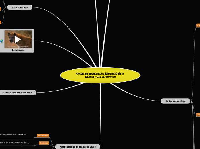 niveles de organizacion de los seres vivos