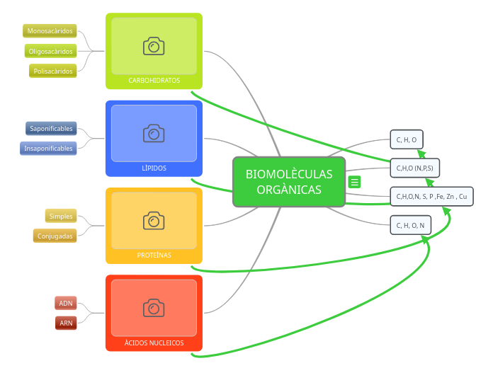 BIOMOLÈCULAS ORGÀNICAS